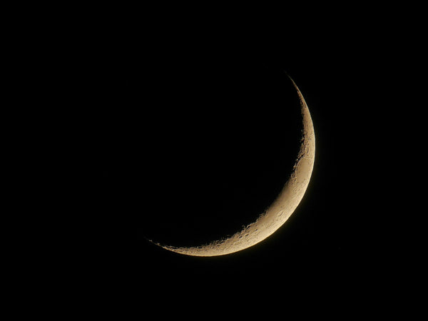 Moon Cycle Manifestation and Magic