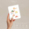 Hand holding a set of plantable seed paper envelopes with snail illustrations on a beige background.