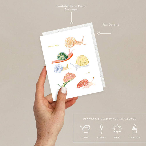 Hand holding a set of plantable seed paper envelopes with snail illustrations on a beige background.