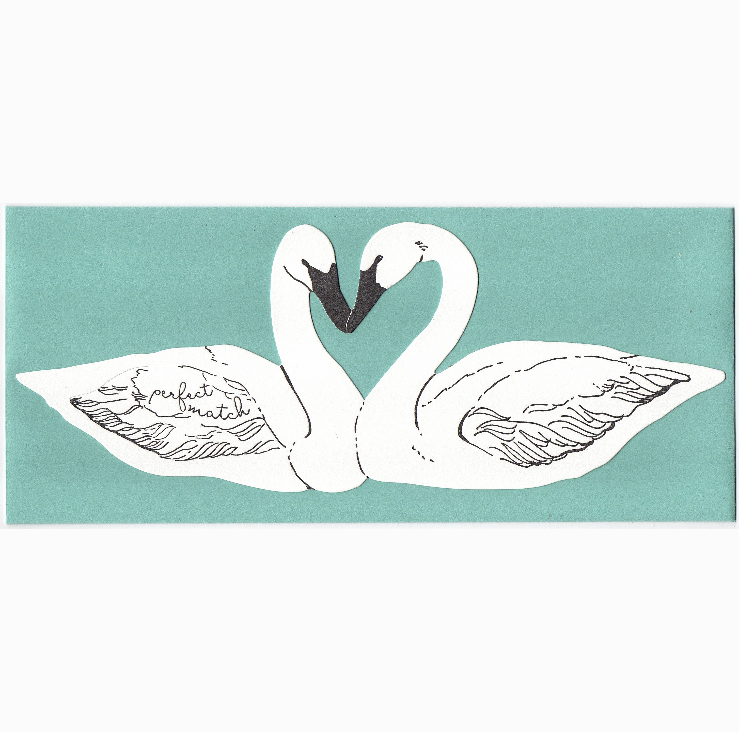 Perfect Match Swans