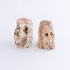Petrified Wood
