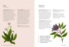 Astro Herbalism
