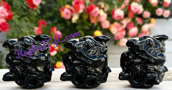 Obsidian Medusa Head