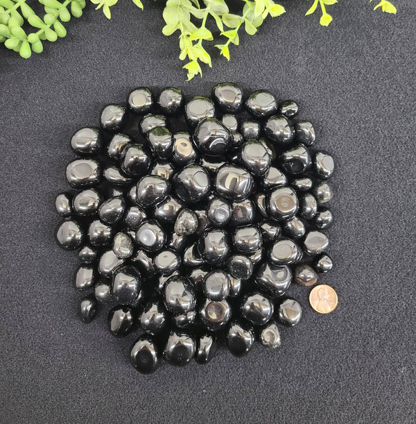 Black Obsidian Tumbled Stone (0.5kg/1.1lbs) 20-25mm