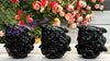Obsidian Medusa Head