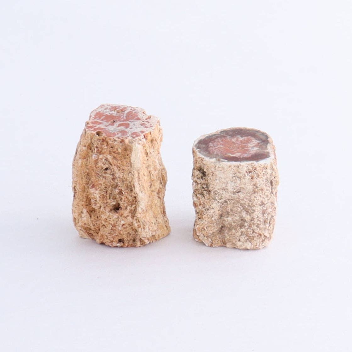 Petrified Wood