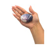 Shell - Violet  Batissa