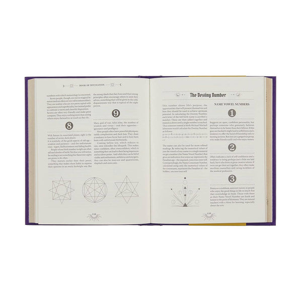 Book of Divination - Michael Johnstone