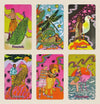 Queer Animal Oracle