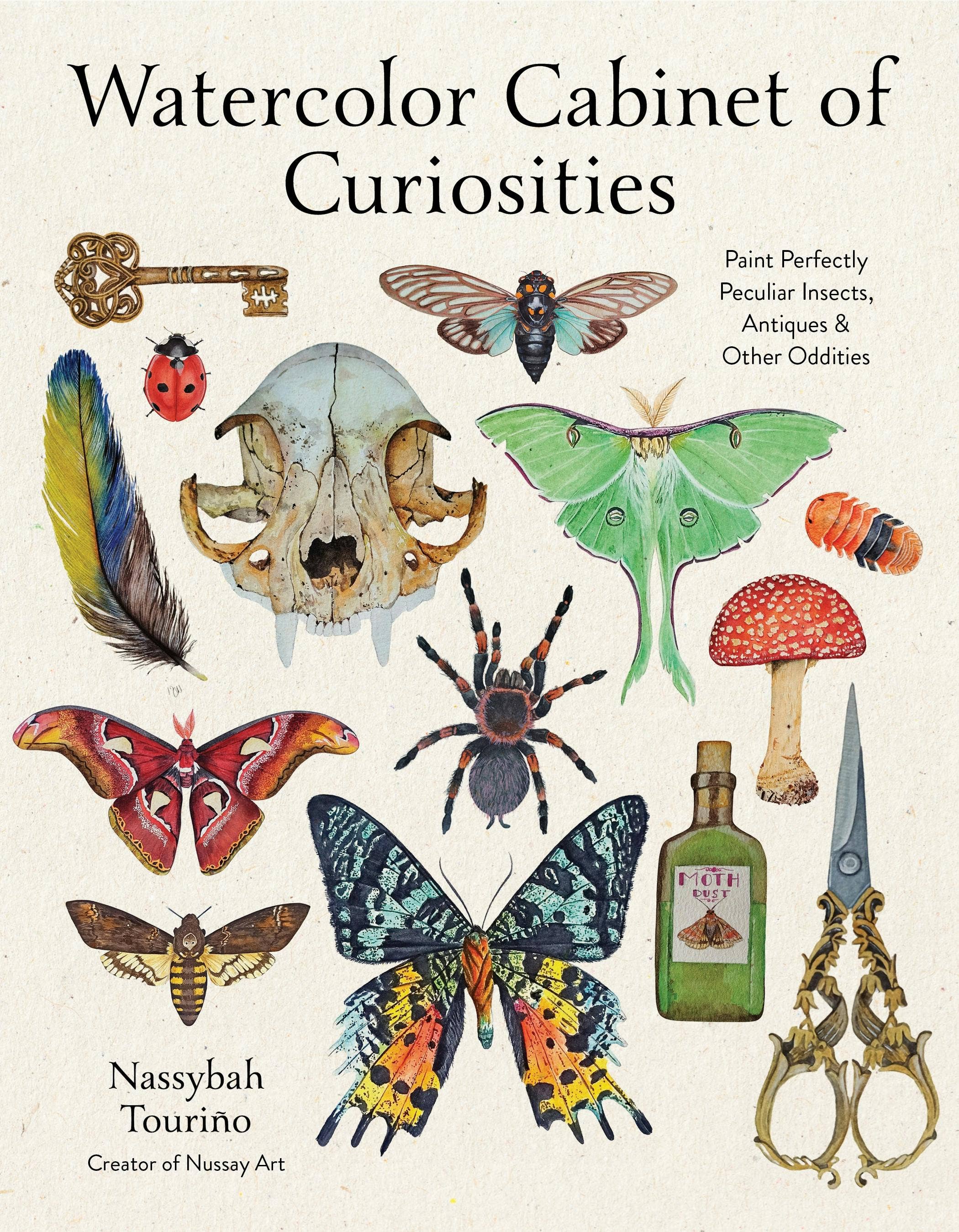 Watercolor Cabinet of Curiosities - Nassybah Touriño