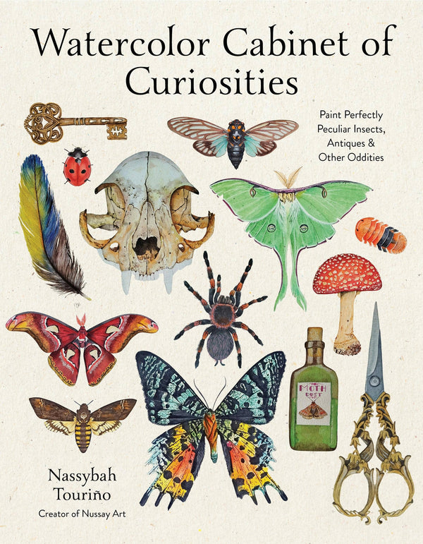 Watercolor Cabinet of Curiosities - Nassybah Touriño