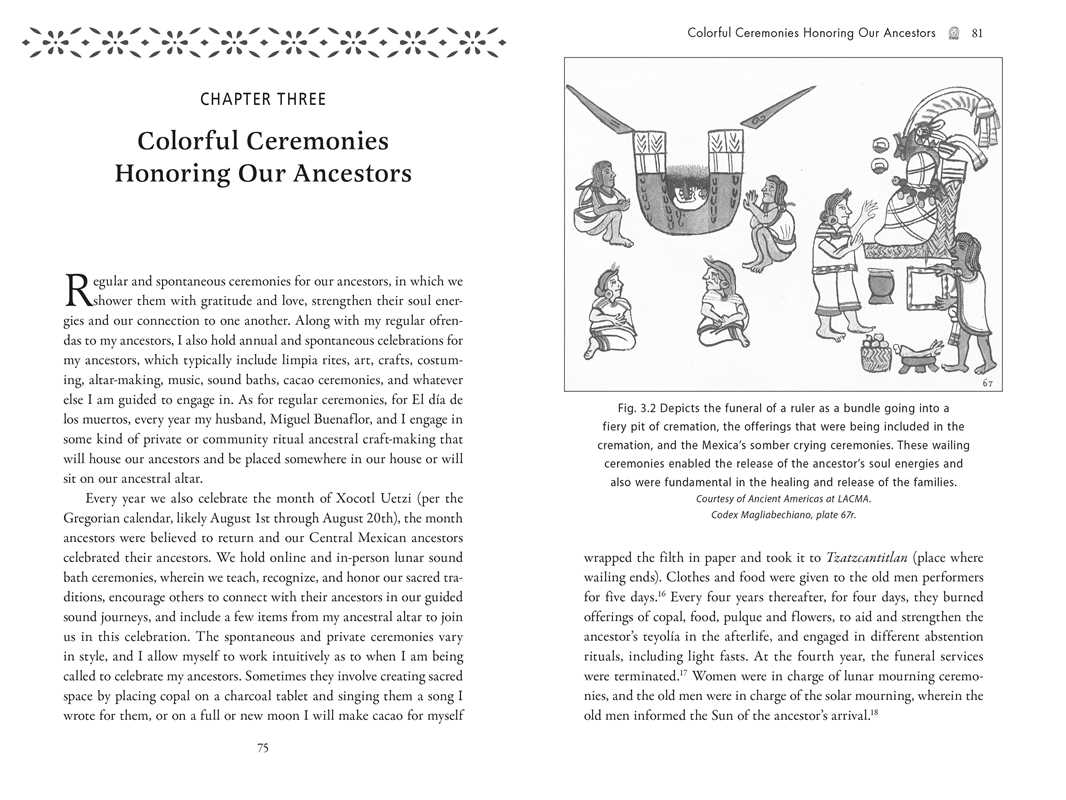 Veneration Rites of Curanderismo by Erika Buenaflor: Paperback; 216 pages / English