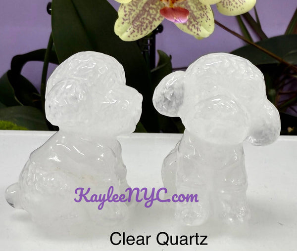 Crystal Toy Poodle