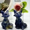 Crystal Fox