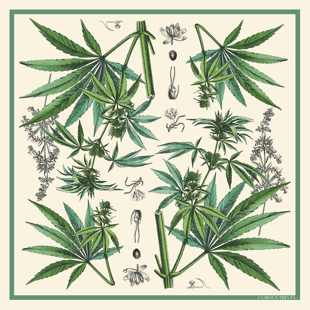 Botanical Cannabis Silk Bandana - 17 x 17 Inches