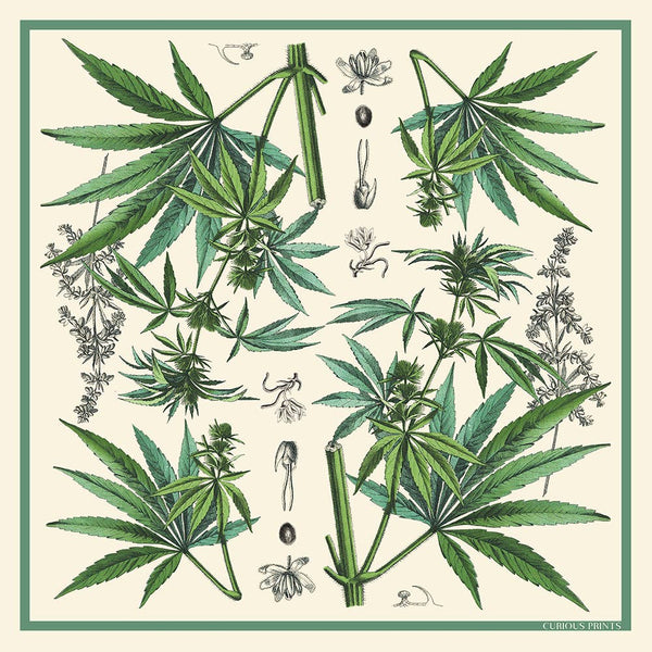 Botanical Cannabis Silk Bandana - 17 x 17 Inches