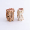 Petrified Wood