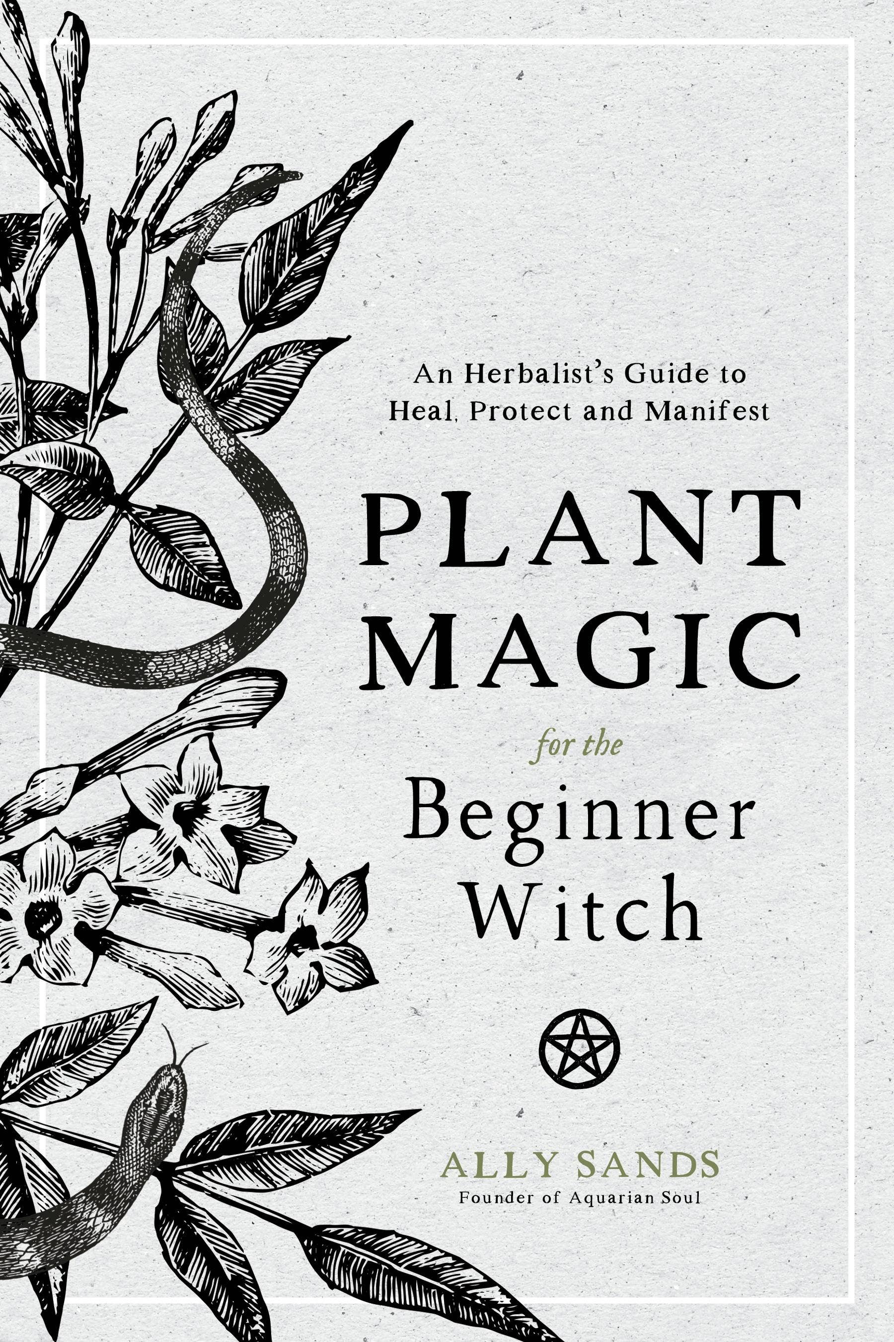 Plant Magic For Beginner Witches: Guide To Heal & Protect