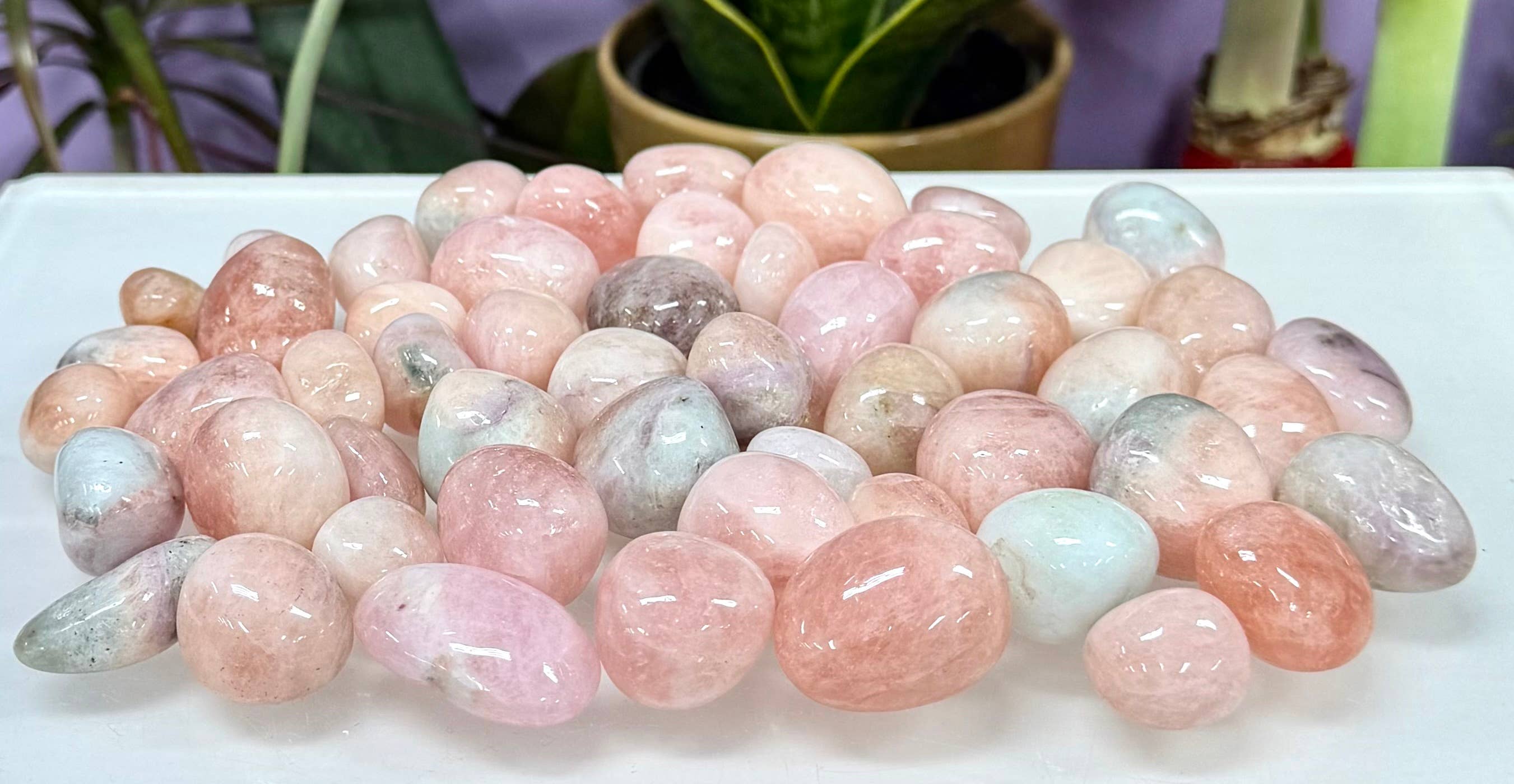 Pink Morganite Tumbled Stone
