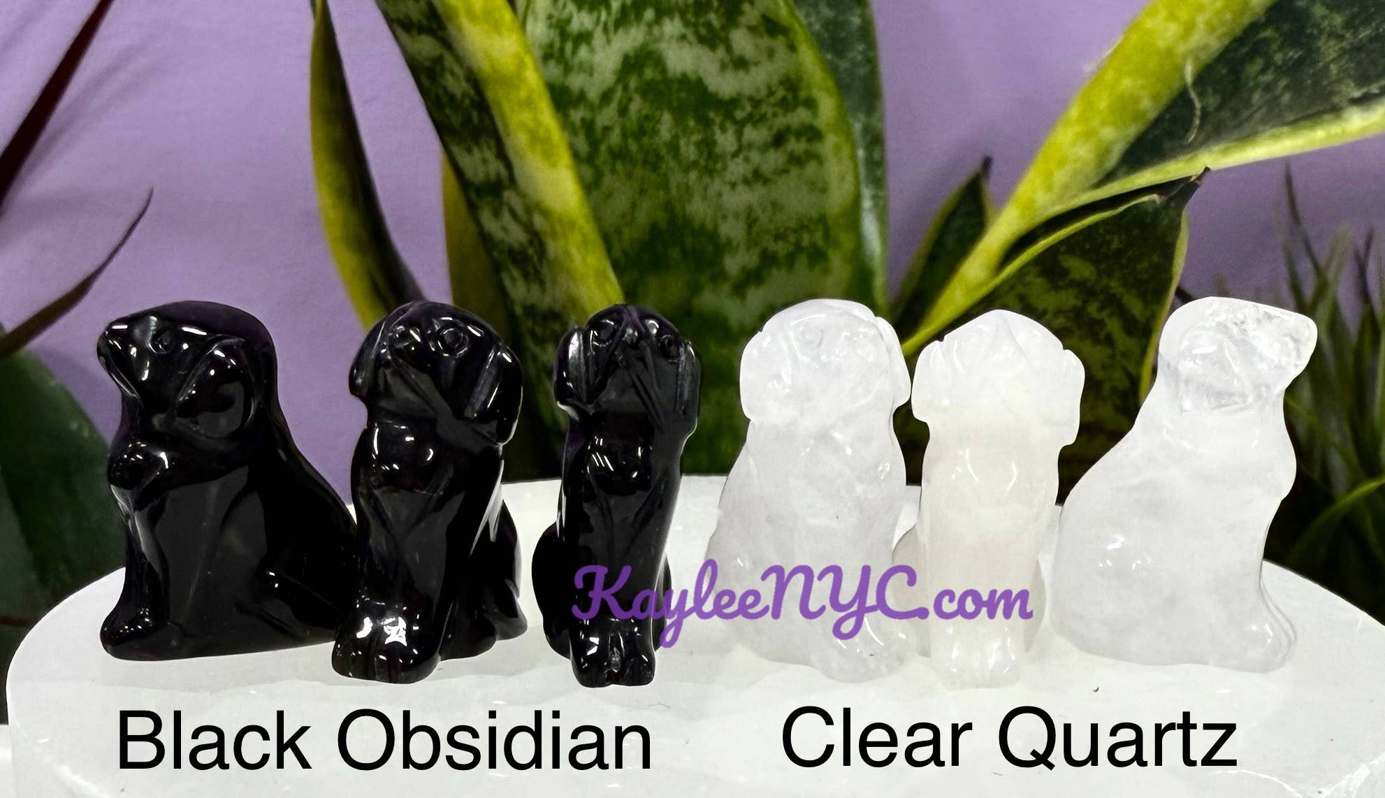 Crystal Dog