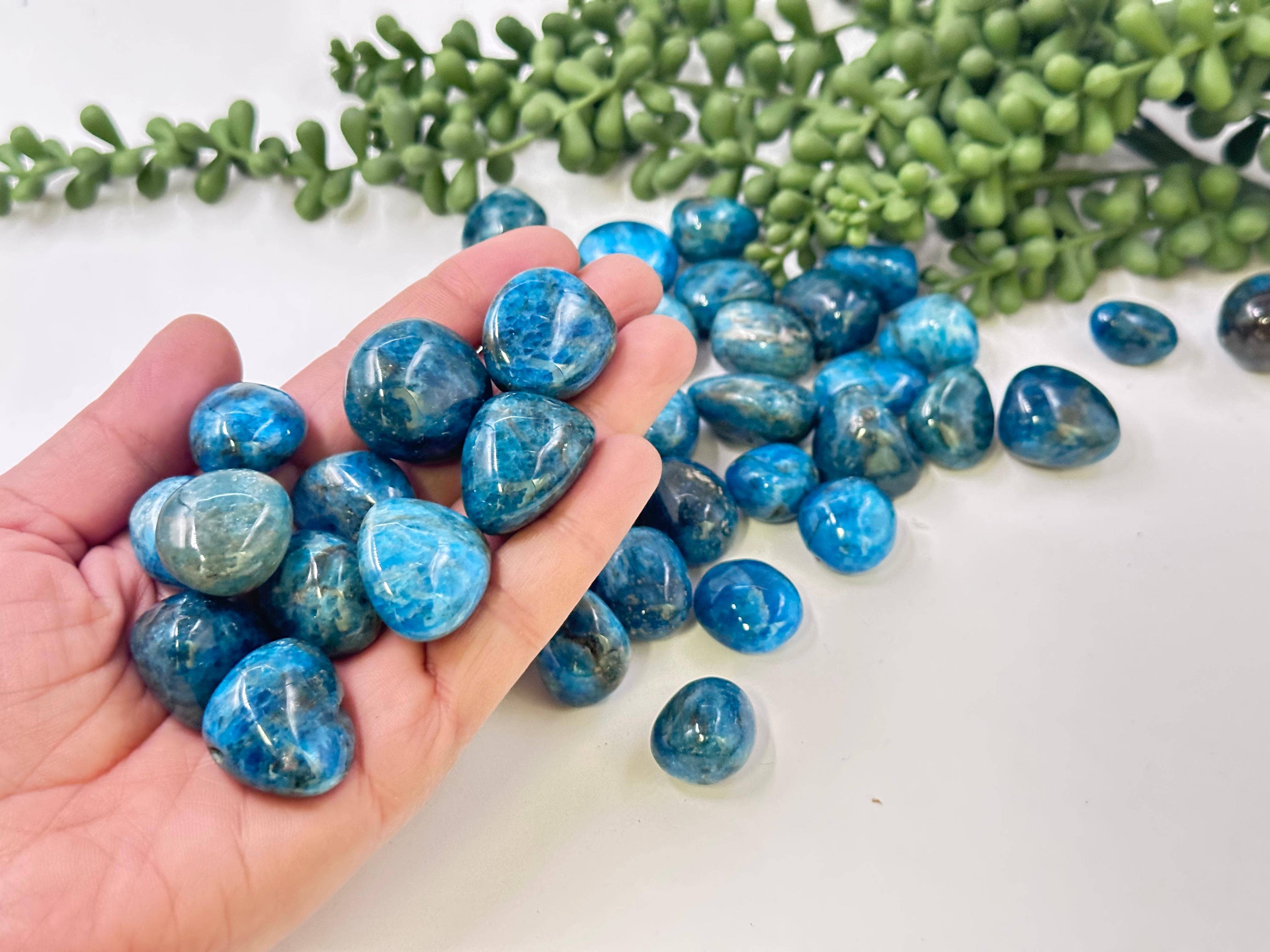 Blue Apatite Tumbled Stones (0.5kg/1.1lbs)  20-25mm AAA