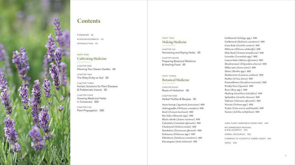 Healing Garden, The: Juliet Blankespoor
