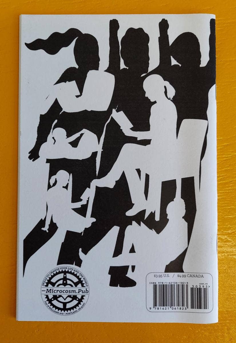 What the Ladies Have to Say: Activists in Palestine (Zine)