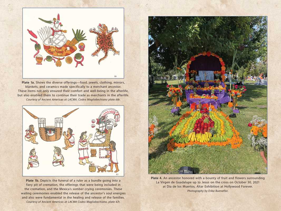 Veneration Rites of Curanderismo by Erika Buenaflor: Paperback; 216 pages / English