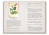 Lady Stirling's Wicked Garden Oracle Deck