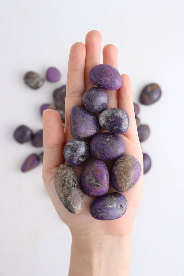 Purpurite Tumble