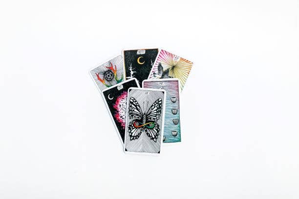 Wild Unknown Pocket Tarot, The: Kim Krans