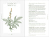 Complete Folk Herbal by Rebecca Beyer