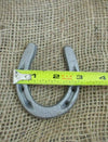 Medium Horseshoe