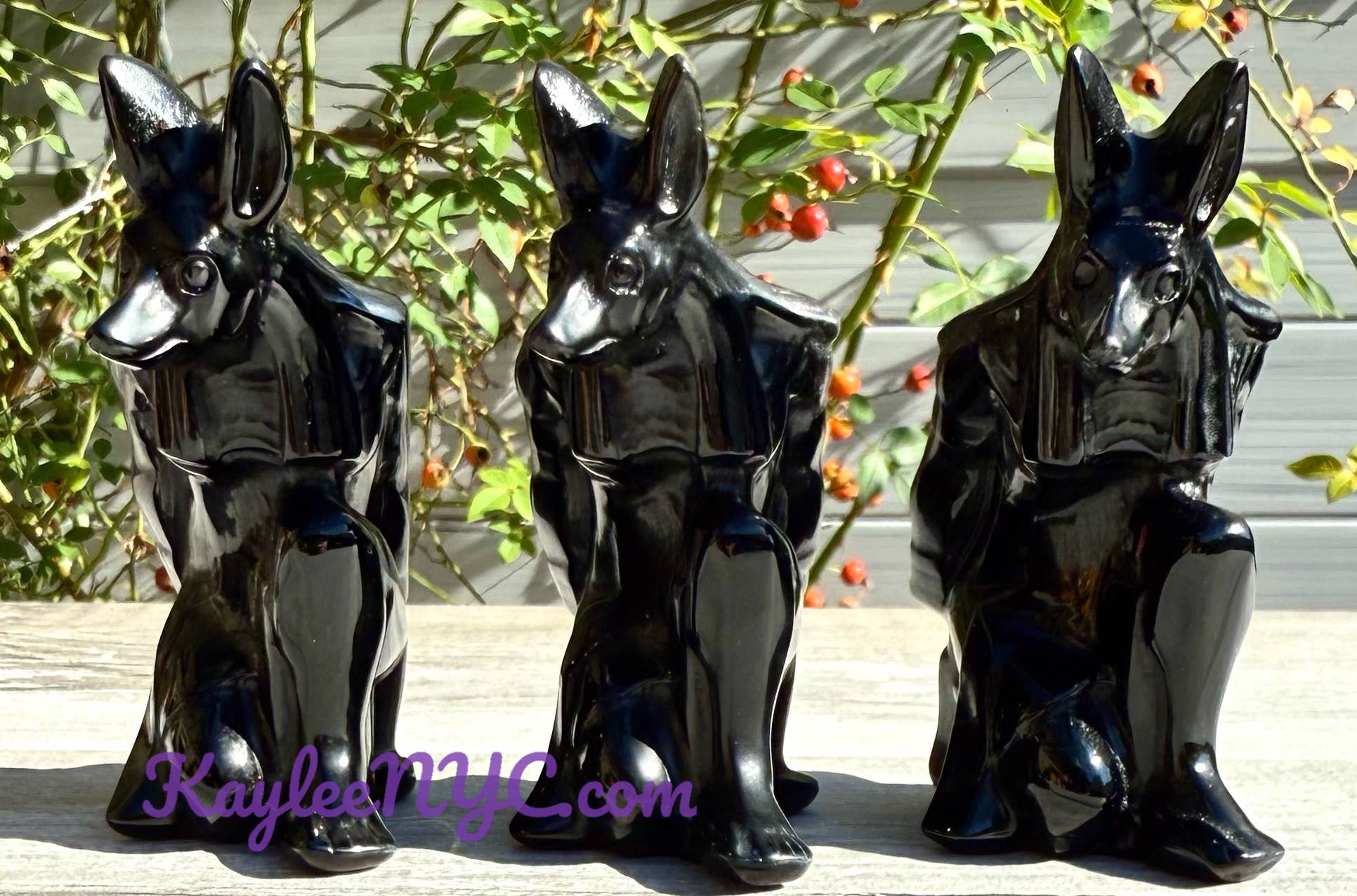 Obsidian Anubis