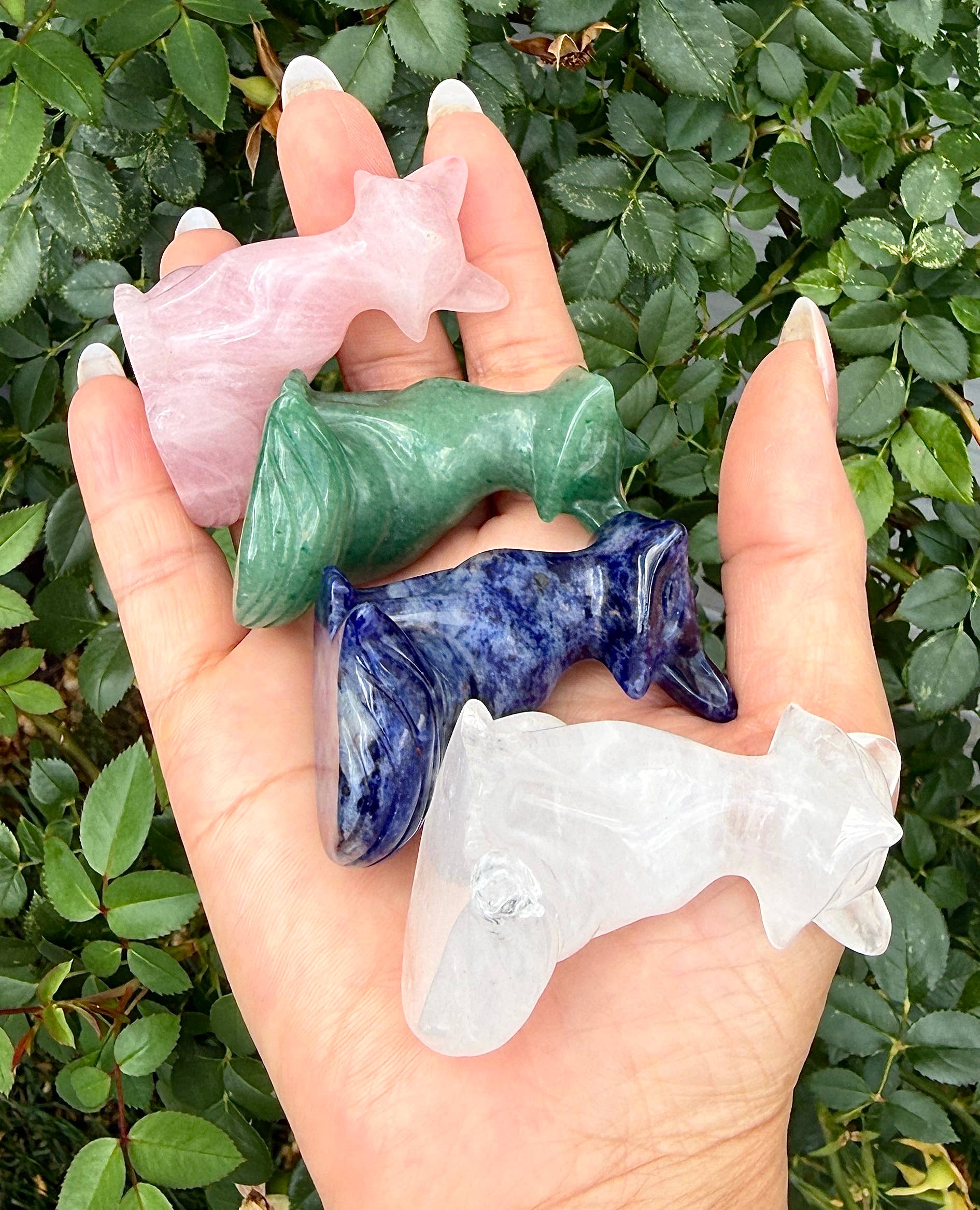 Crystal Fox