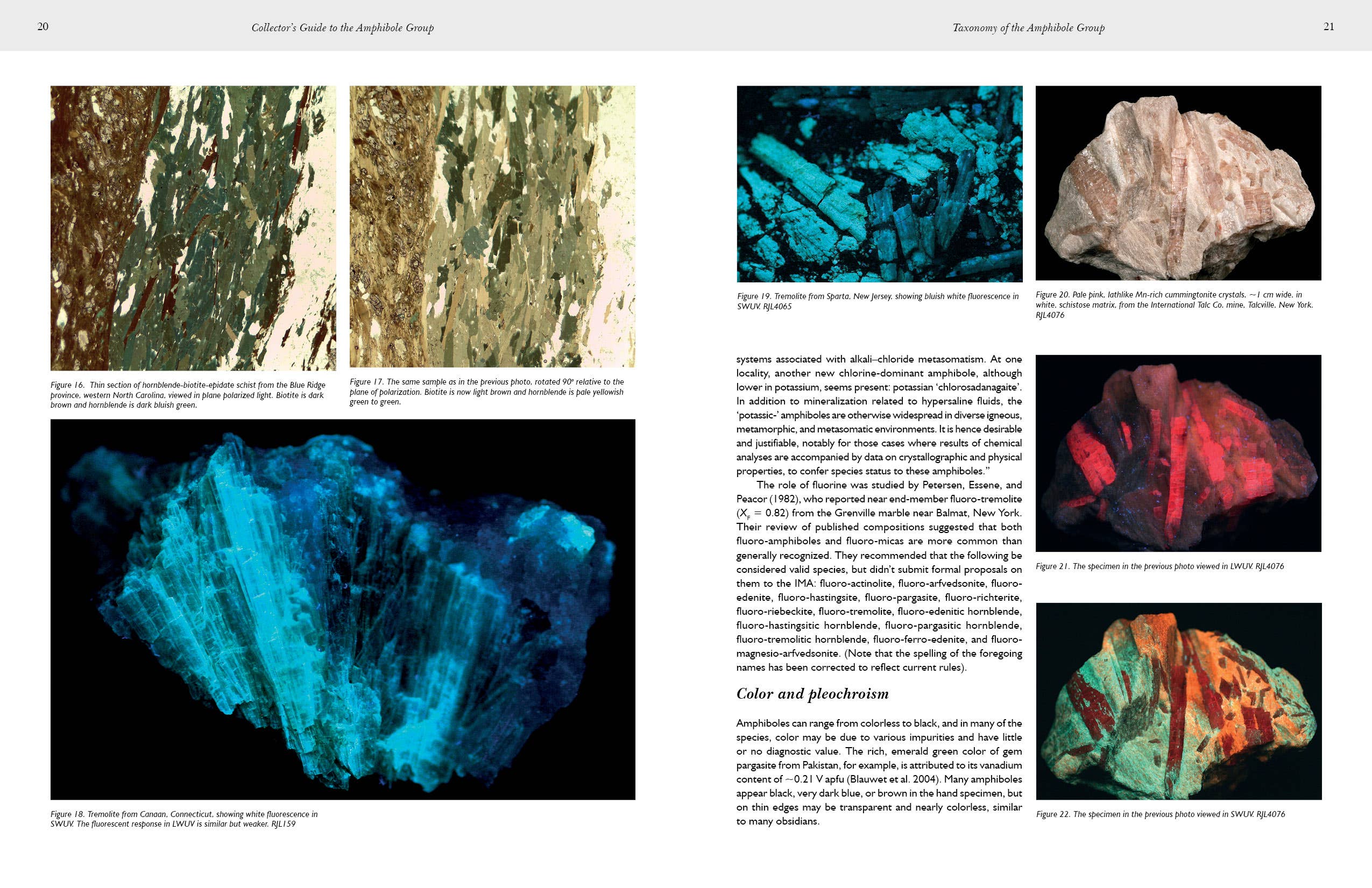 Collectors' Guide to the Amphibole Group