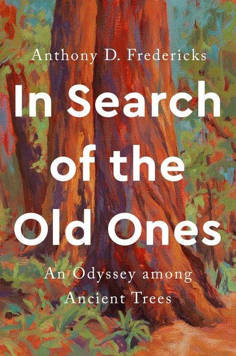 In Search of The Old Ones