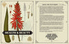 Apotheke: Christopher Tierney