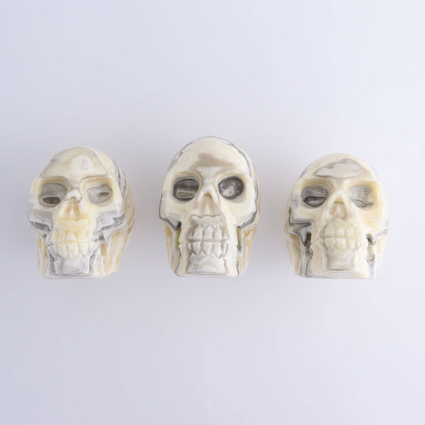 Onyx Skull