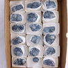 Celestite Cluster
