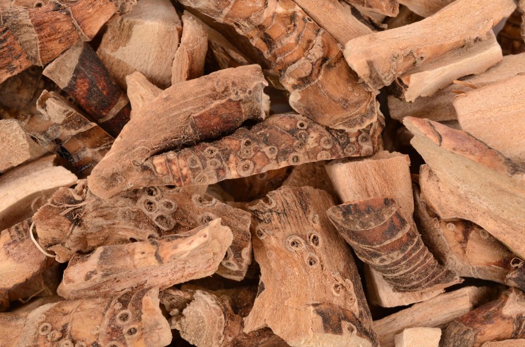 Knobby woody pieces of dried brown root