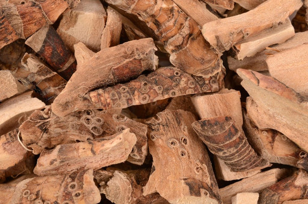 Knobby woody pieces of dried brown root