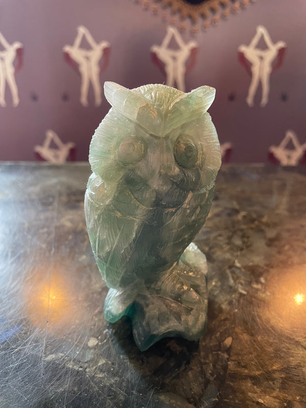 Fluorite Owl