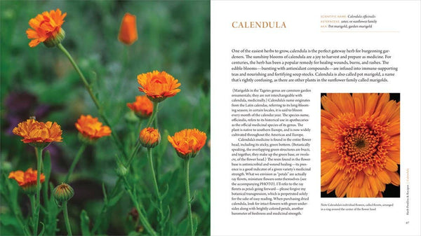 Healing Garden, The: Juliet Blankespoor