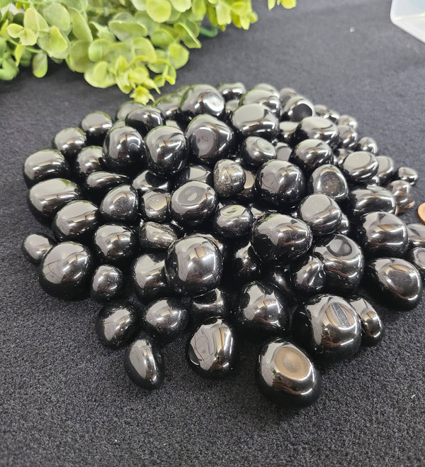 Black Obsidian Tumbled Stone (0.5kg/1.1lbs) 20-25mm