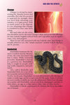 Everyday Voodoo - Adult Book on Voodoo Practices