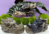 Volcano Agate Dragon Head
