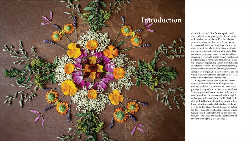 Healing Garden, The: Juliet Blankespoor