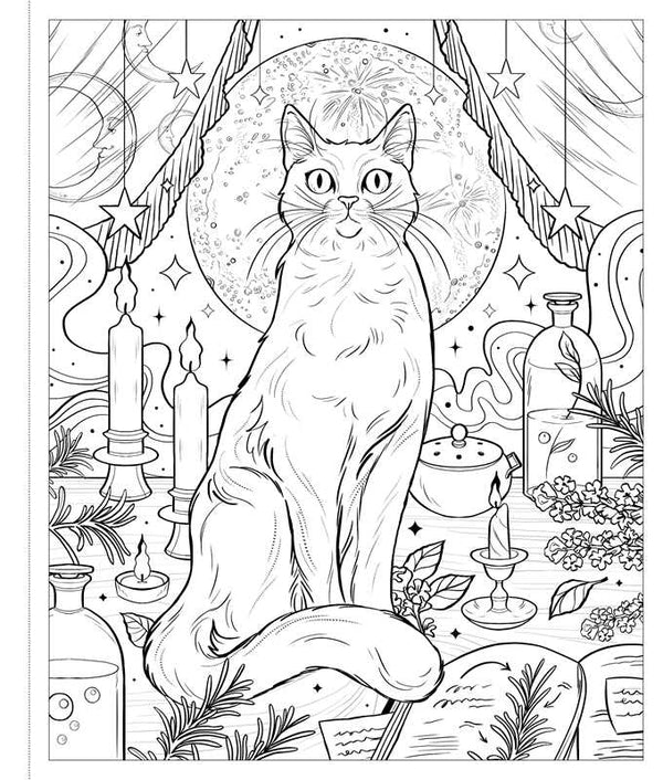 The Unofficial Coloring Book for Fans of Practical Magic by: Paperback; 48 pages / English