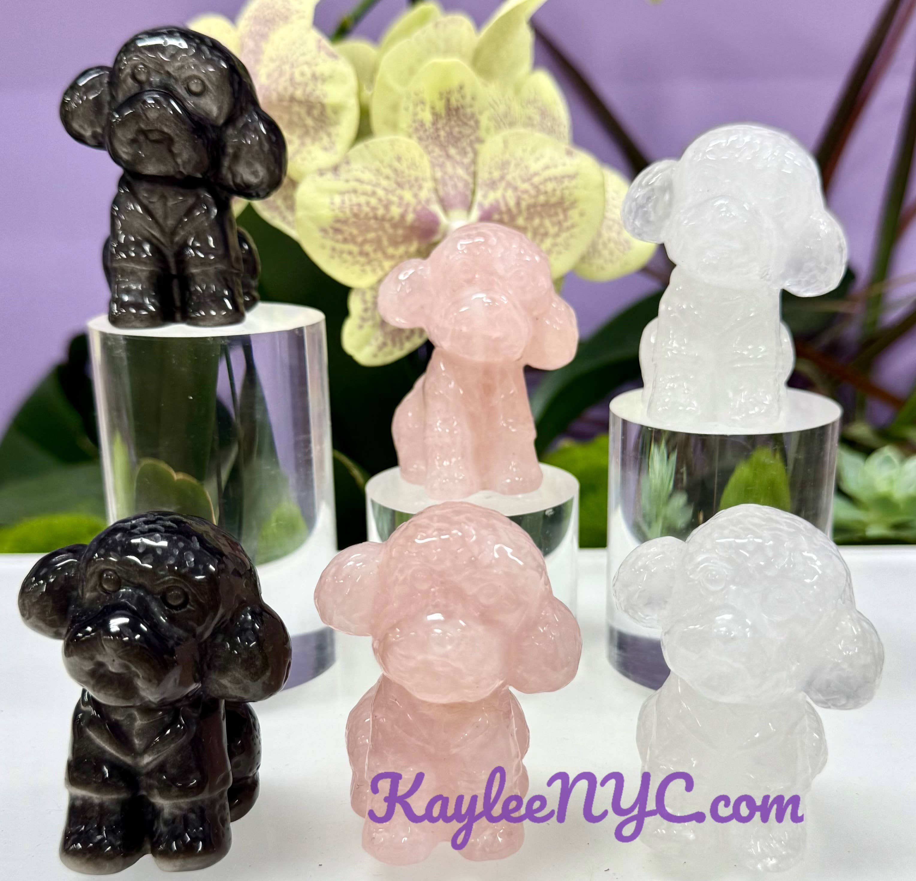 Crystal Toy Poodle